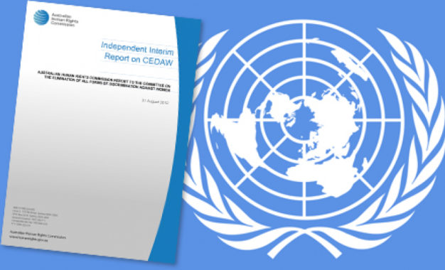 Engelli Kadınlara Yönelik Şiddet Olayları Hakkındaki Bilgi Notu BM’ye İletildi